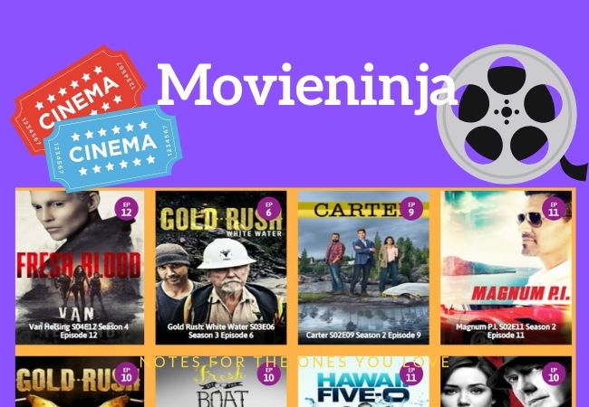 10 Best Movieninja Alternatives – 100% Working in December 2020