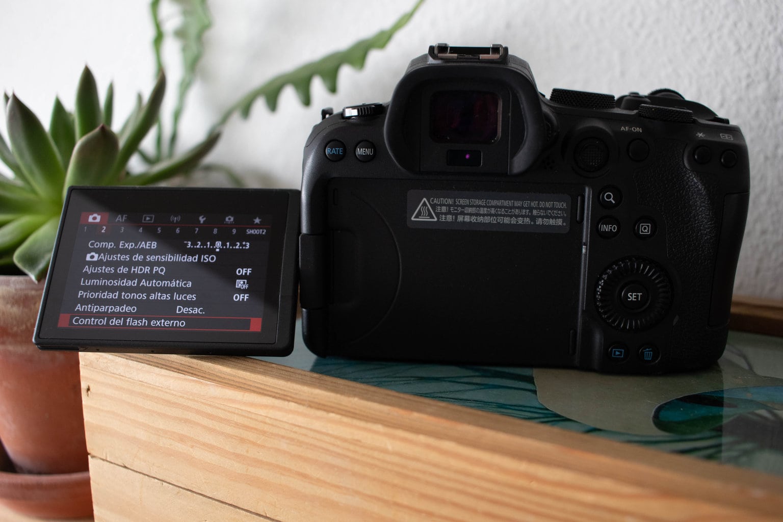 Canon Eos R6 with screen folded down
