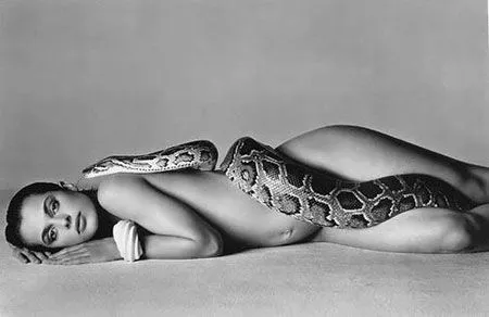 avedon snake model