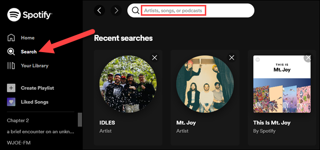 Use web player in Spotify