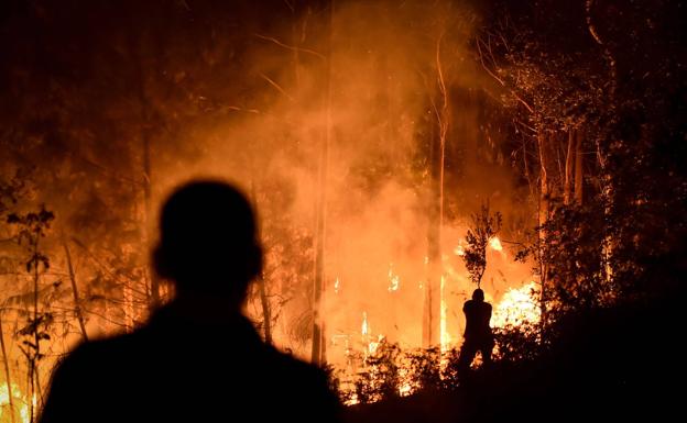 Firefighters fight the fire in Leiria, in the center of the country/efe