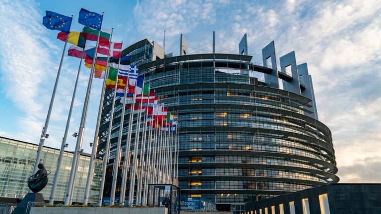 What did the European parliament decide on deforestation, minimum wage and renewables